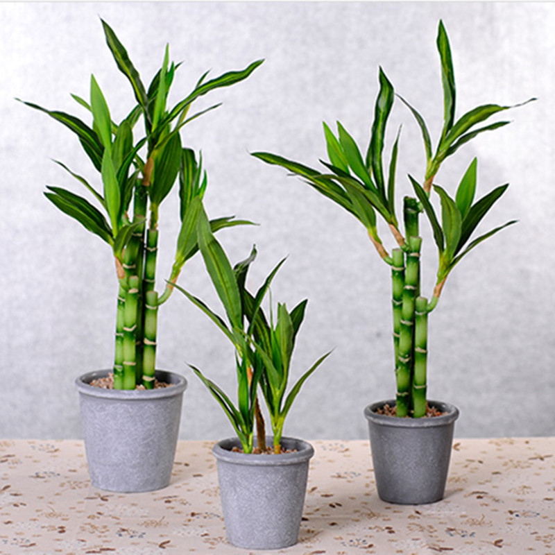 Mới 40Cm RFtificial May Mắn Tr - đánh giá và giá Desk Setup Plants