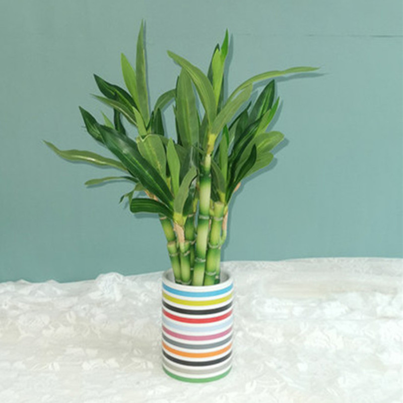 Mới 40Cm RFtificial May Mắn Tr - đánh giá và giá Desk Setup Plants