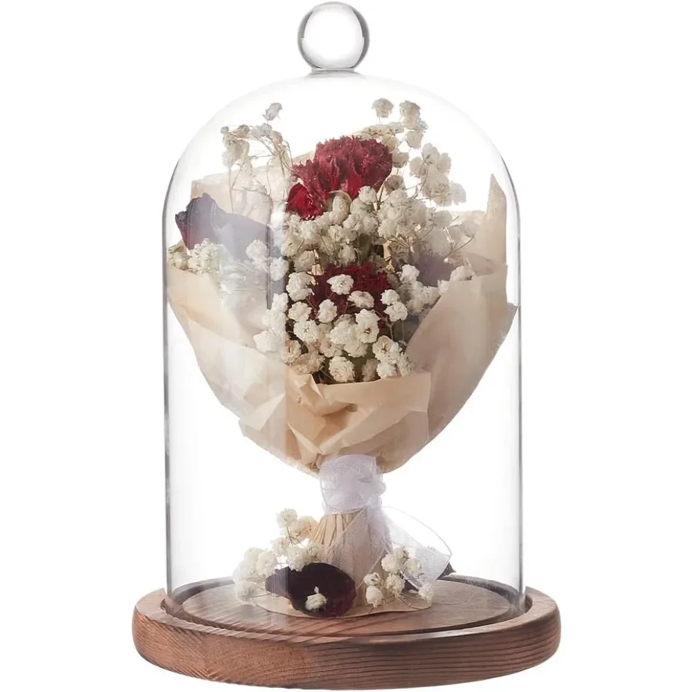 1pc 7x5 Inch Glass Dome Cloche - đánh giá và giá Desk Setup Plants