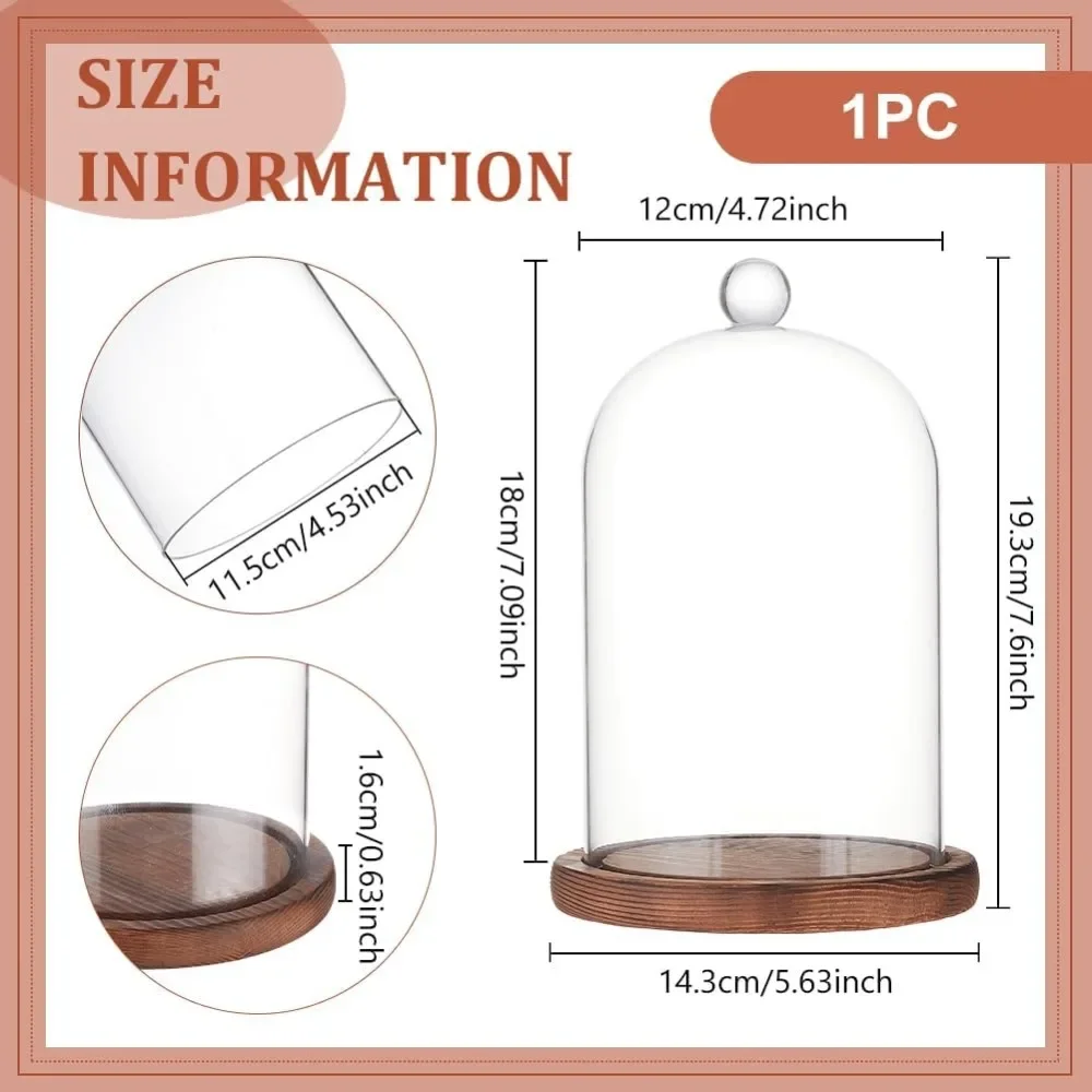 1pc 7x5 Inch Glass Dome Cloche - đánh giá và giá Desk Setup Plants