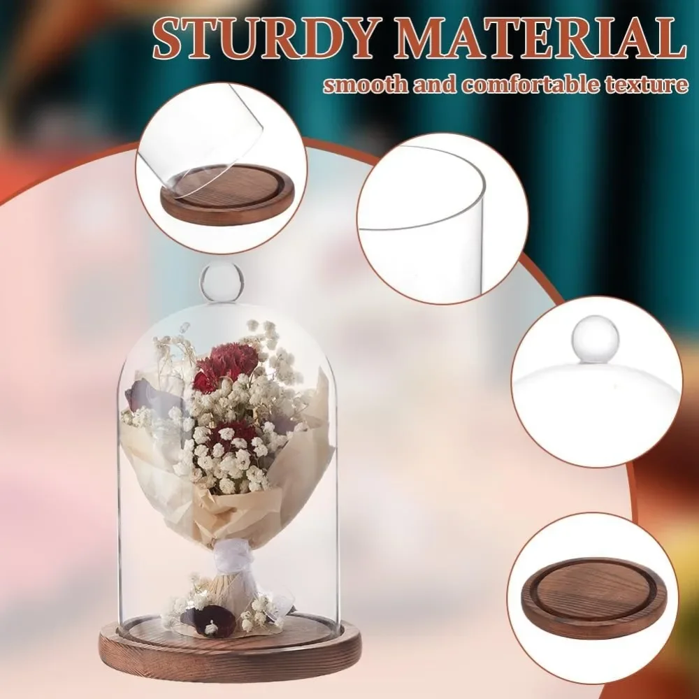 1pc 7x5 Inch Glass Dome Cloche - đánh giá và giá Desk Setup Plants